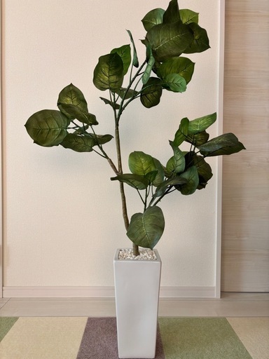 フェイクグリーン　光触媒人工観葉植物