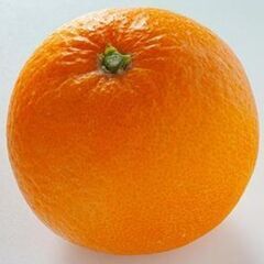 ★交渉成立★　キノ　０３２１１０００　カフス春武駐の画像