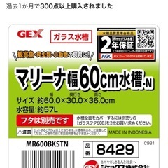 マリーナ水槽60センチの画像
