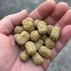 マズリ　トータスダイエット　5M21  1kg  リクガメフードの画像