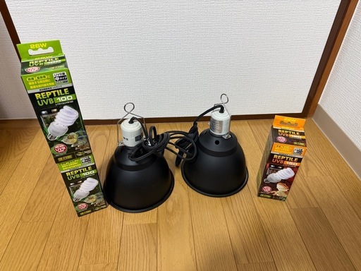 爬虫類ライトドーム