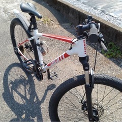 自転車　ジャイアントの画像