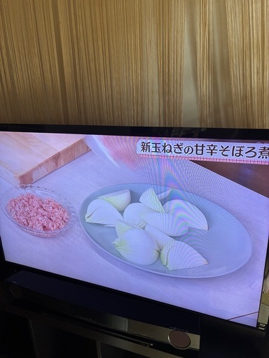 SONY BRAVIA ５５インチ　Blu-rayレコーダーハードディスク内蔵