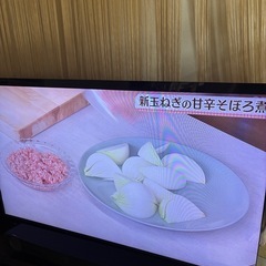 SONY BRAVIA ５５インチ　Blu-rayレコーダーハードディスク内蔵の画像