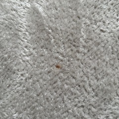 10ｍｍウレタン入り保温+吸湿発熱+蓄熱ラグ（185X185 ライトモカ cDA01）の画像