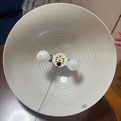 天井照明電気の画像