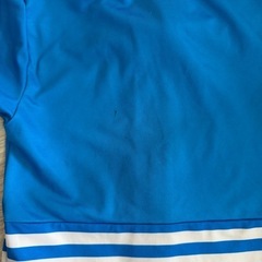 ドナルドダッグ　水着　　90の画像