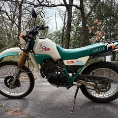 希少品　セロー225 1kh
の画像