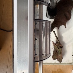 水槽セットの画像