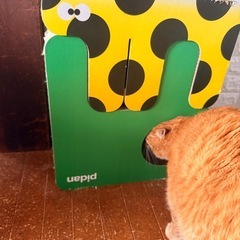 【取引中です】猫　爪とぎの画像