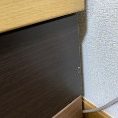 マルチカラータンスの画像