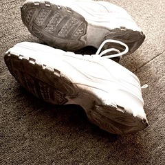 スニーカー　レディースの画像