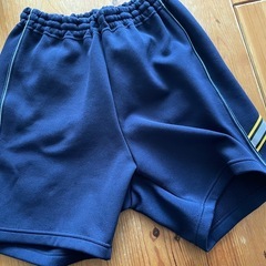 春日野小学校　体操服　男子　上下セット　150の画像