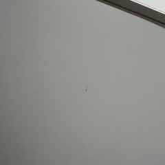 2022年製 Panasonic 138L冷蔵庫 NR-B14FW-W2の画像