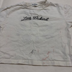 ロンT100cmの画像