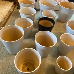 サイズいろいろ陶器鉢 24鉢 セットの画像