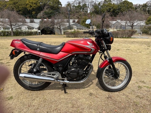 【個人出品】　CBX250RS MC10