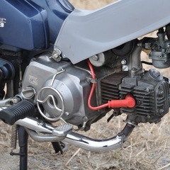 愛知 ホンダ スーパーカブ　カスタム50の画像