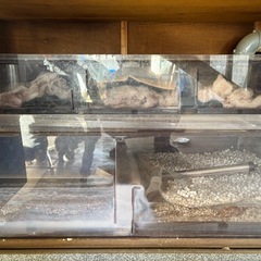 大型水槽 180cm オーバーフロー水槽セット 引き取り限定の画像