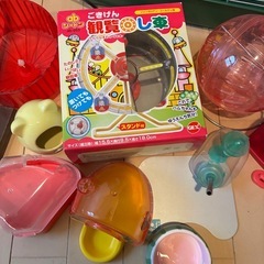 ハムスター飼育セットの画像