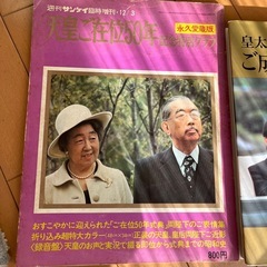 写真集　雑誌の画像