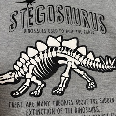 子供服 男の子 半袖 Tシャツ 4枚セット 恐竜 110cm まとめ売り 夏服 ステゴサウルス ダイナソーの画像