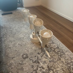 シーリングライトの画像