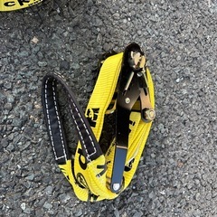 あげます、スラッグライン
の画像