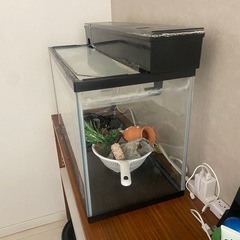 水槽の画像