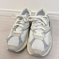 未使用に近い NIKE スニーカー 24.5cmの画像