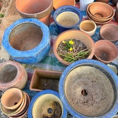 植木鉢、壺 あげます！の画像