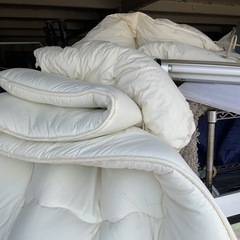 布団　無料ですの画像