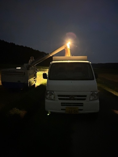 令和7年 栃木県産 ゆうだい21 玄米30kg