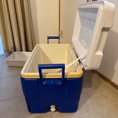 iglooクーラーボックス54Lの画像