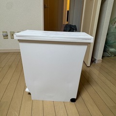ゴミ箱 30L 両開きペダル式 1000円の画像
