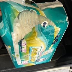 大人用　紙おむつパッドの画像