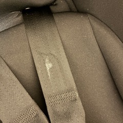 チャイルドシート　
joie アイスナグ2の画像