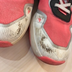 24㎝スニーカーの画像