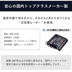 コペルタの画像