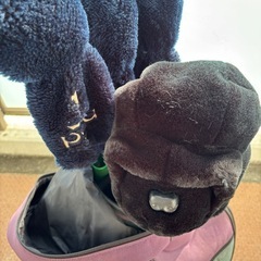 ゴルフクラブ・セットの画像