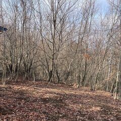 傾斜地の山林を埋め立て薪置き場に造成用土砂（残土）をお売りください。必要量20トン・6ｍ道路に接道アクセスが良い場所です。の画像