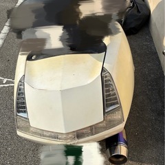 マグザム 現状販売の画像