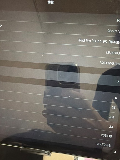 値下げ！iPad pro第四世代 2022年 256gb シルバー