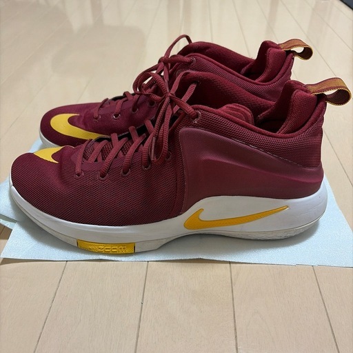 NIKE LEBRON  シューズ
