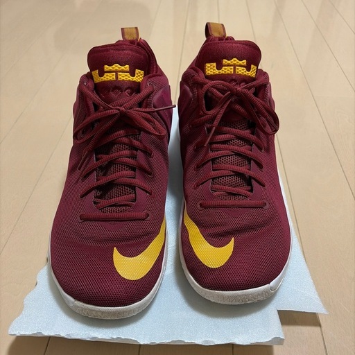 NIKE LEBRON  シューズ