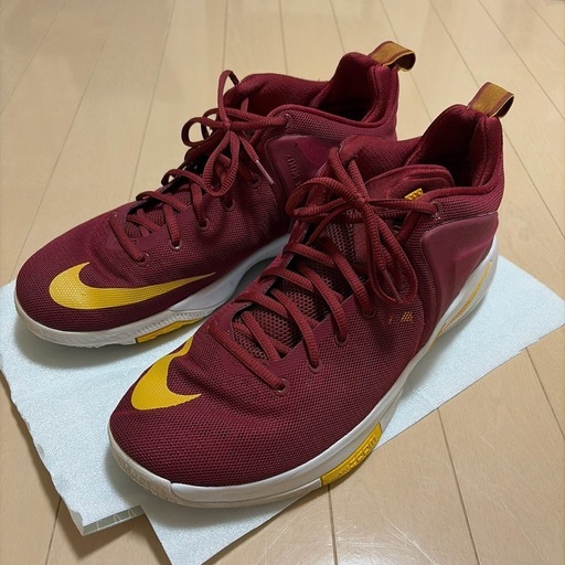 NIKE LEBRON  シューズ