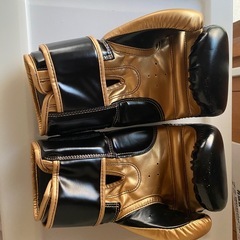 新品未使用　ボクシンググローブ12ozの画像