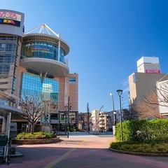 3/27 walking - 八王子市