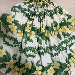 パウスカートの画像