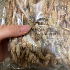 本日採れつくし300gはかま付きの画像